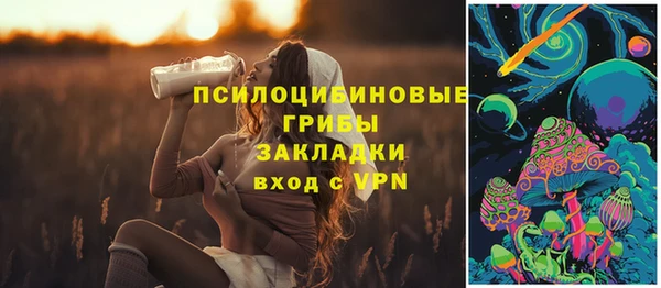 spice Алзамай