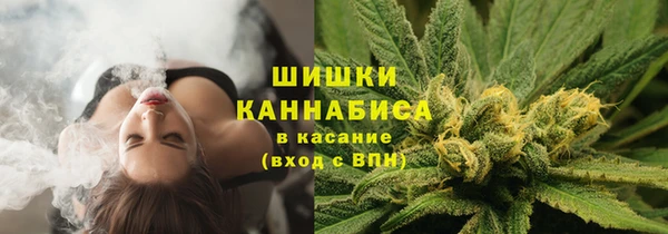 spice Алзамай