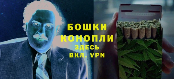spice Алзамай