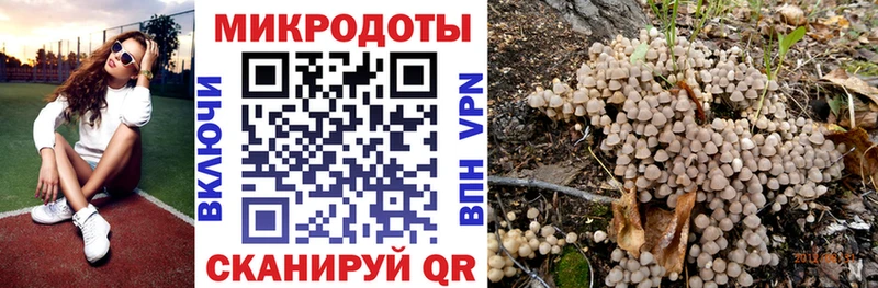 Псилоцибиновые грибы GOLDEN TEACHER  Апшеронск 